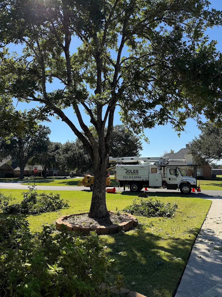 Joles Tree Service truck at a residential property